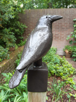 title="informatie