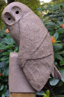 velduil1