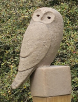 velduil1