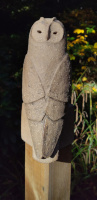 velduil1